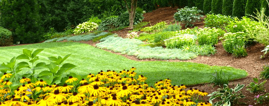 black diamond landscapes arlington ma lush and vibrant green lawn design with yellow flowers home landscaping design