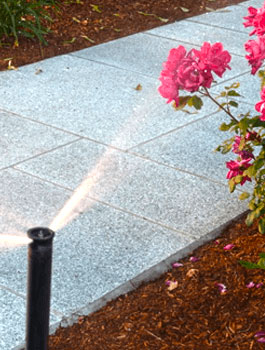 irrigation systems installation sprinkler spraying lawn near paved stone walkway with flowers landscape construction black diamond landscap