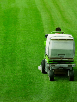 lawn mowing landscape maintenance black diamond landscapes man riding lawn mower cutting bright green grass pattern